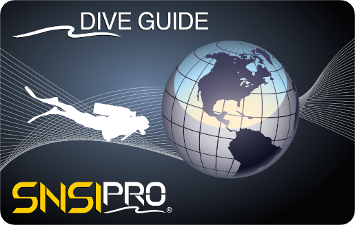 Brevetto Dive Guide